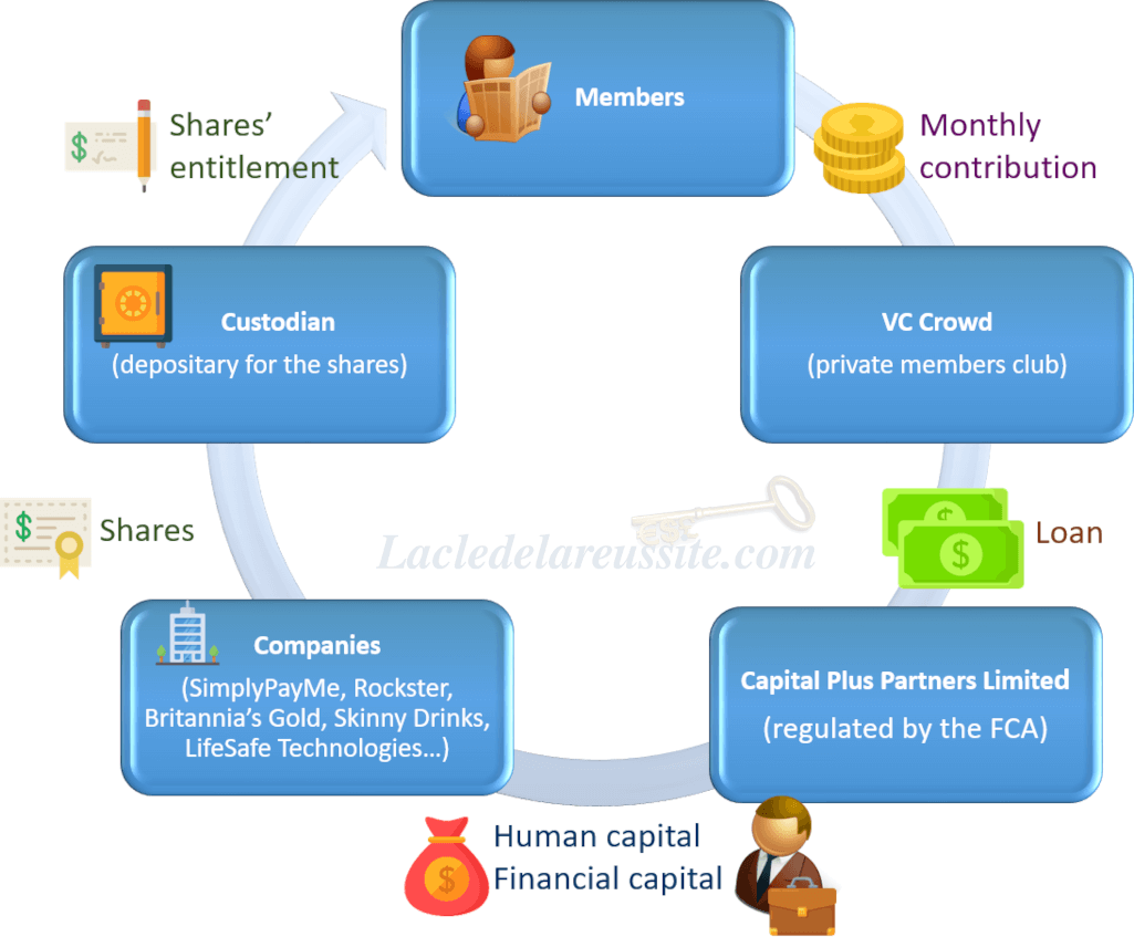 Functioning of the financial ecosystem of VC Crowd, IPO, profit, financial intelligence